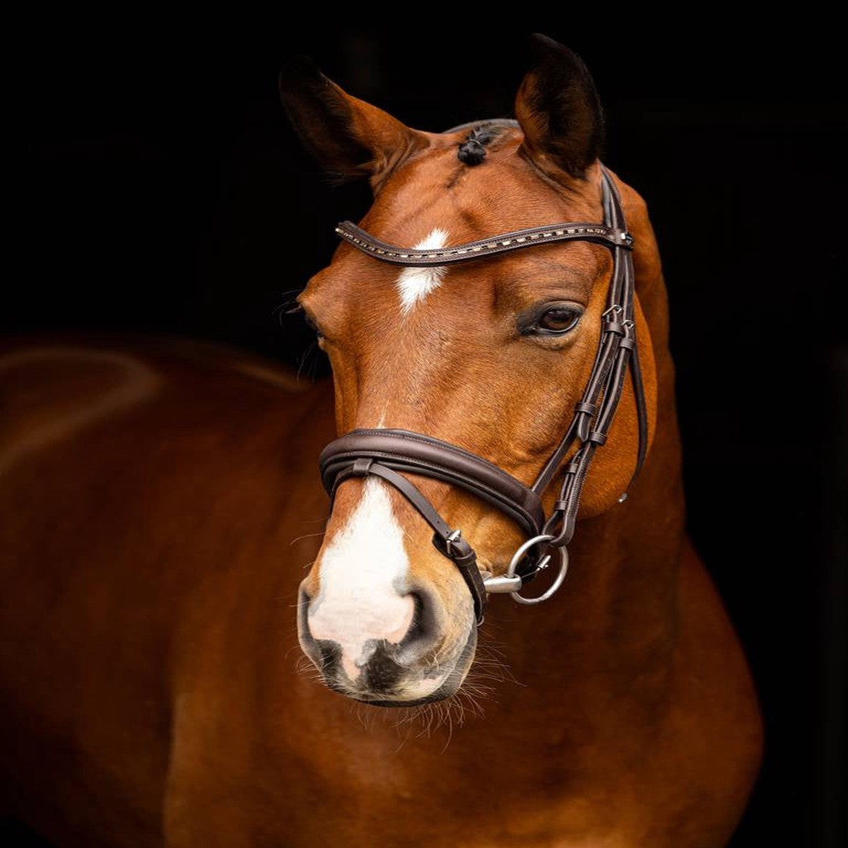 LeMieux Arika Dressage Bridle BrownSilver