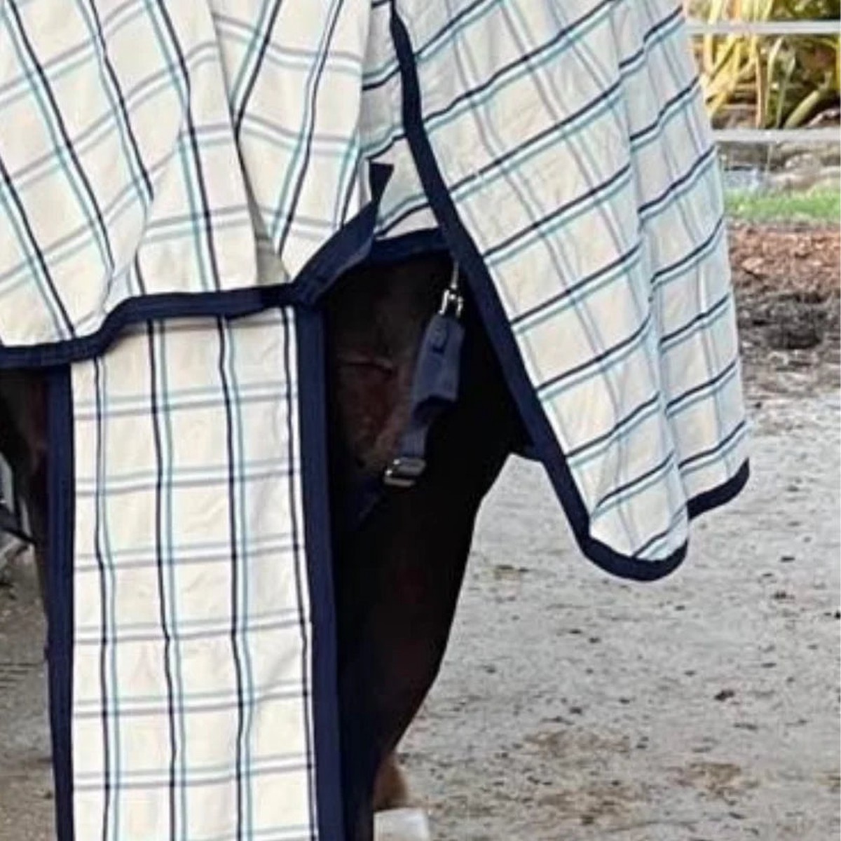 Tailbag - Earlwood - WHITENAVY