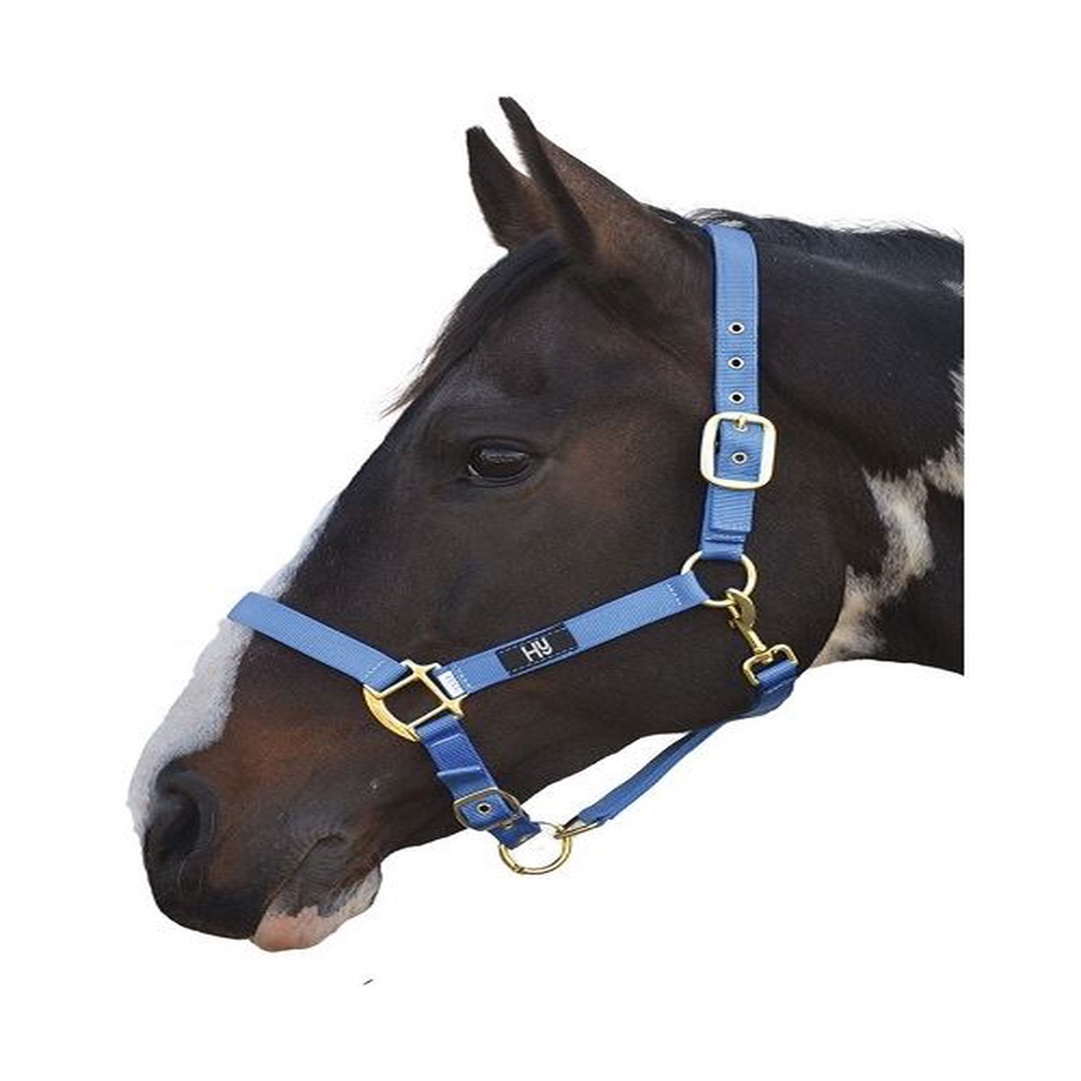 Hy Head Collar