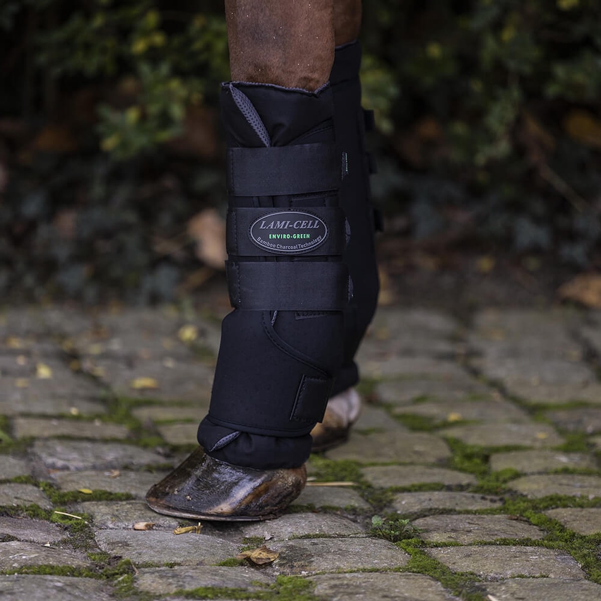2-in-1 Stable Transport Boots