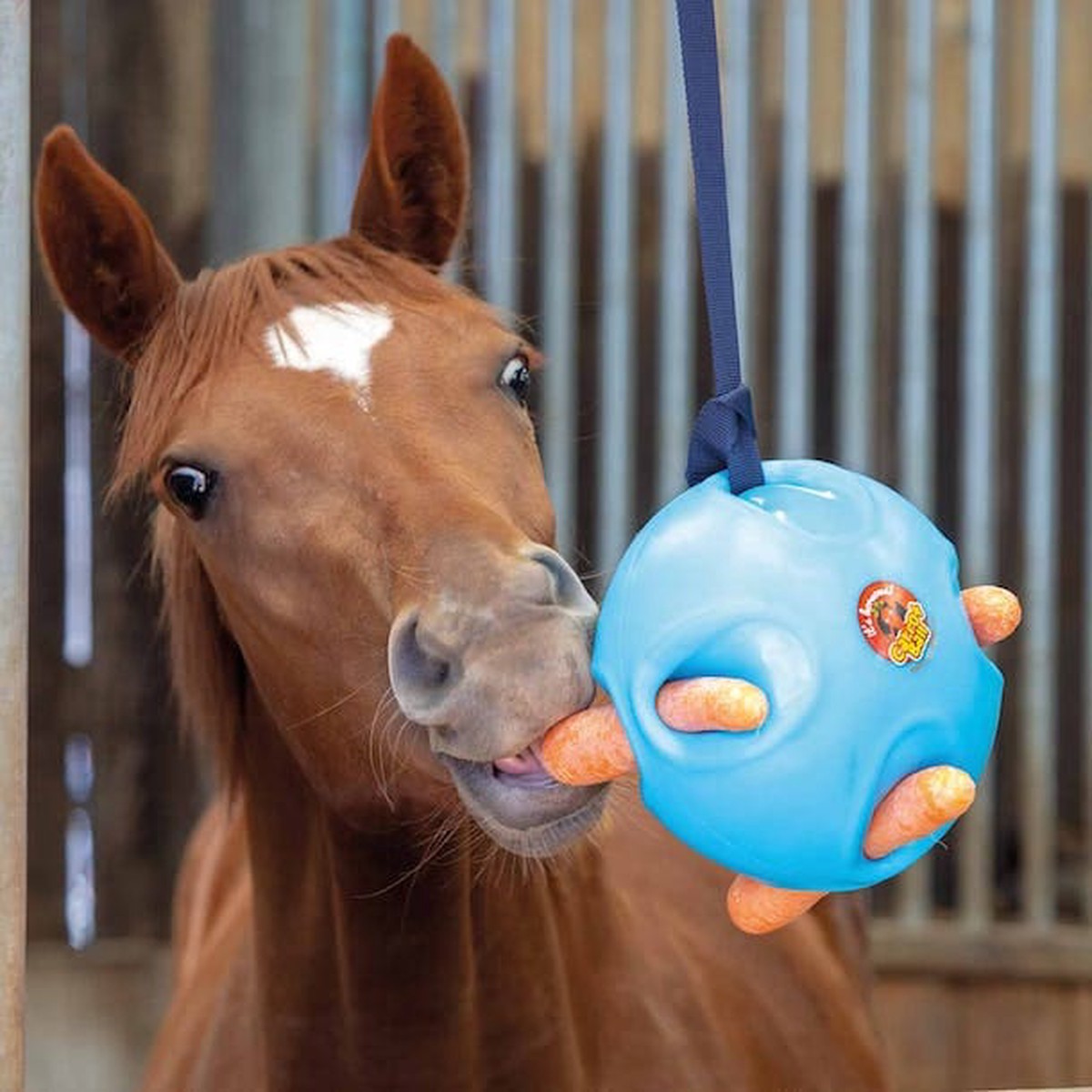 Shires Carrot Ball Blue